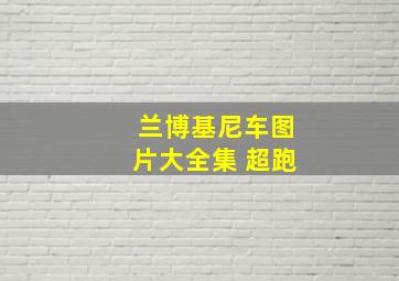 兰博基尼车图片大全集 超跑